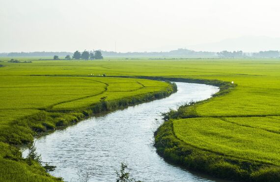 農地の売却や査定をしっかりサポート｜霧島の不動産なら売買を取り扱う株式会社アミュゼ・クリエイト