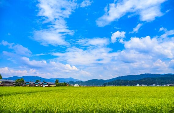 霧島市や姶良市の地域で不動産情報を探すなら株式会社アミュゼ・クリエイトへ