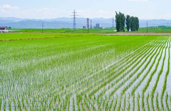 霧島市国分で不動産の相談をするなら株式会社アミュゼ・クリエイトへ